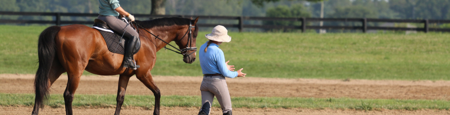 Adult teach adult member on bay horse in dressage arena