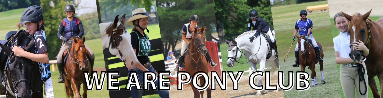 We Are Pony Club with different disciplines