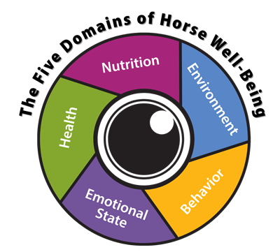 Example of bad variable names
