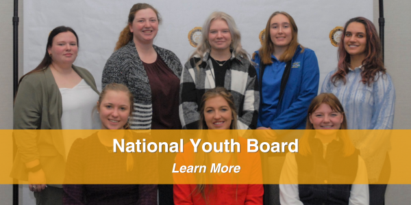 National Youth Board